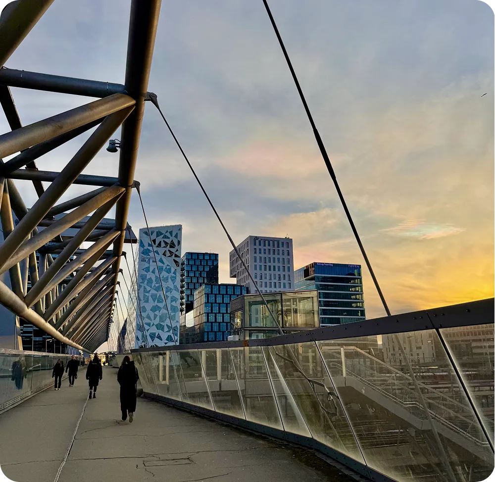 Pedestrian bridge in Oslo with city skyline and waterfront